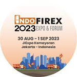 IndoFireX logo
